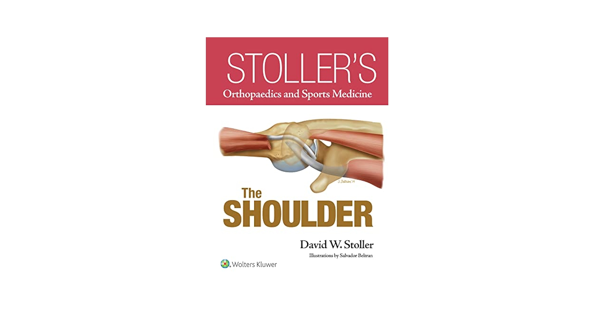 Wolters Kluwer Stoller&#39;s Orthopaedics &amp; Sports Medicine: Hip 未使用 2018 Davld W. Stoller 072LaD Stoller's Orthopaedics and Sports Medicine: The Hip